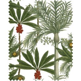 MADAGASCAR Linen Sample