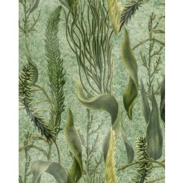 AQUATIC PLANTS Wallpaper Sample