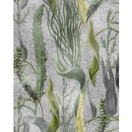 AQUATIC PLANTS Grey Wallpaper Sample