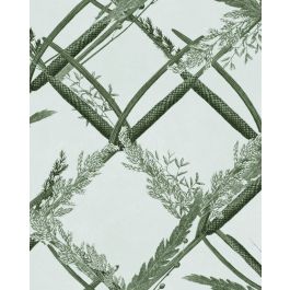 ORNAMENTAL REED Greenlake Wallpaper Sample