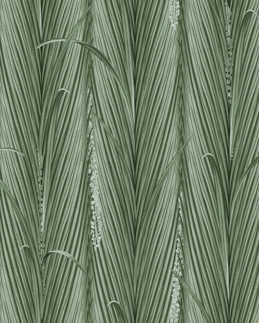 DANUBE FOLIAGE Absinthe Wallpaper