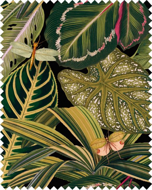 AMAZONIA Linen