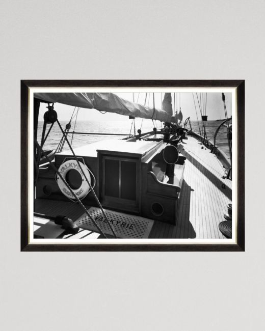 VALKYRIE II Framed Art