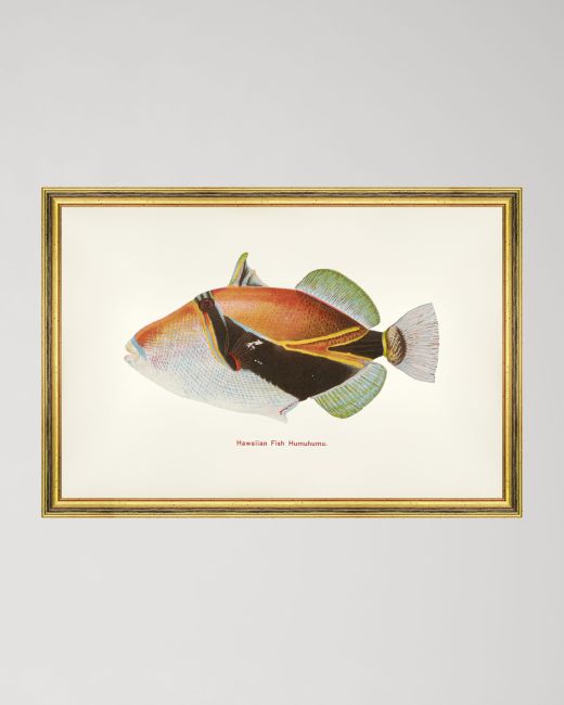 FISHES OF HAWAII - HUMUHUMU FISH Framed Art