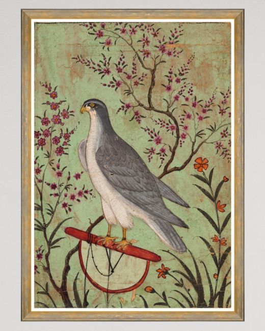 FALCON ON A PERCH Framed Art
