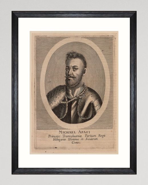 MICHAEL APAFI PORTRAIT Framed Art