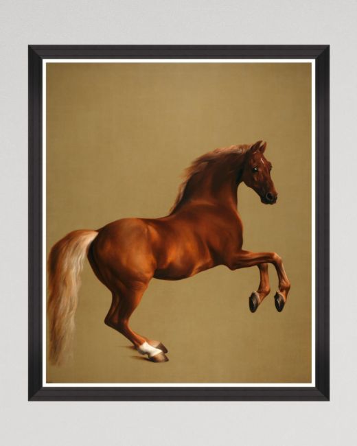 WHISTLEJACKET BY STUBB Framed Art