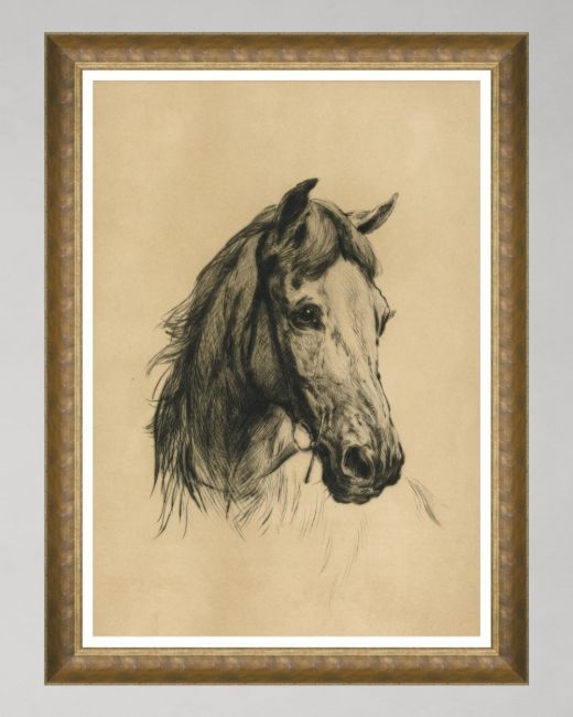 Head of a Horse by Heywood Hardy Framed Art