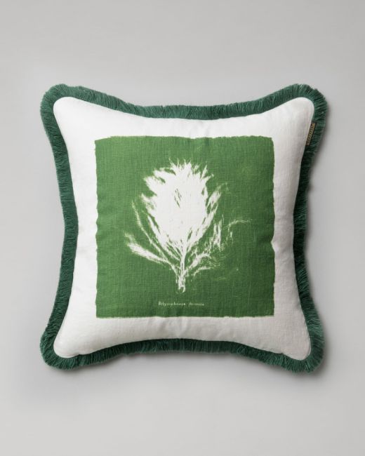 ALGAE II Cushion