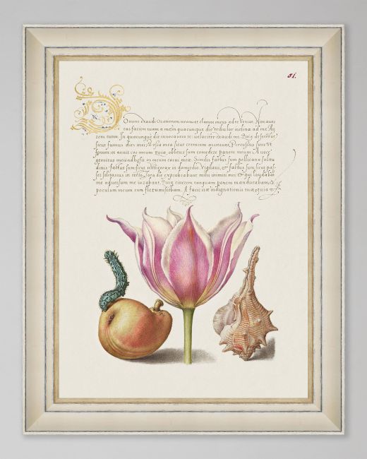 LETTERING II Framed Print
