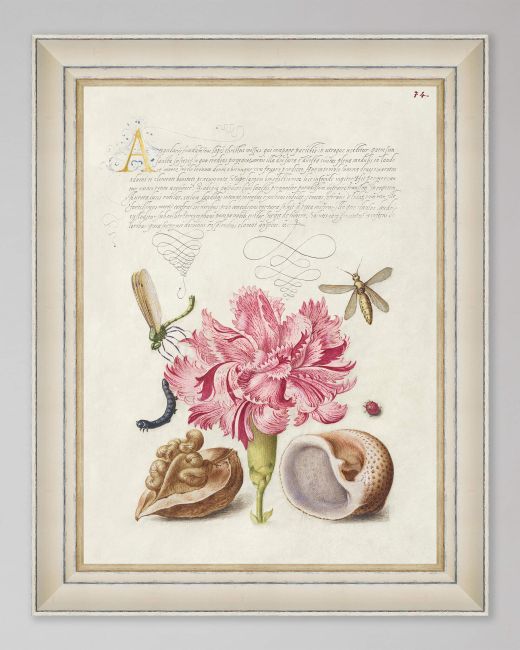 LETTERING III Framed Print