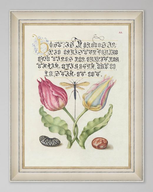 LETTERING IX Framed Print