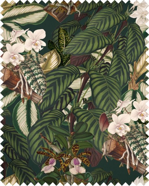 ORCHID BLOOM Linen