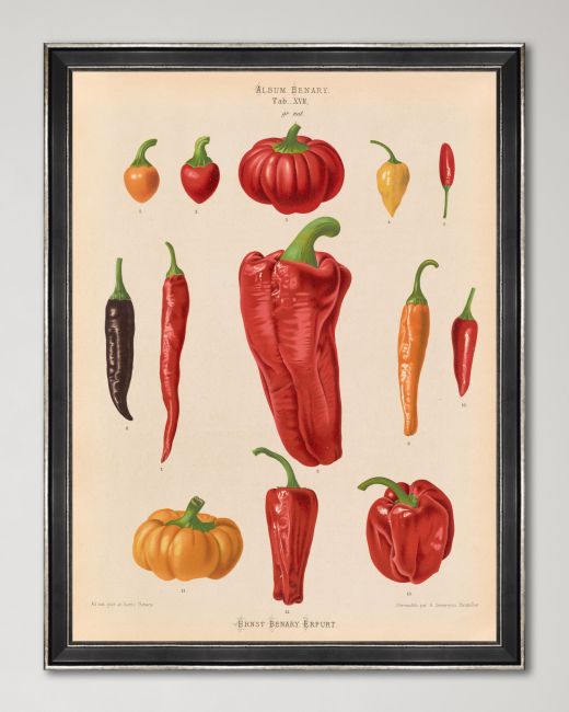 PLATE I Framed Print