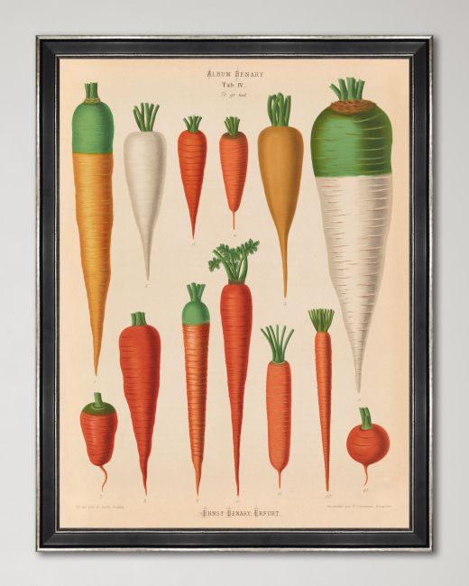 PLATE III Framed Print