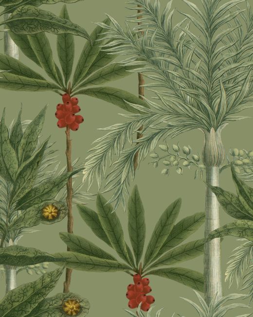 MADAGASCAR Wallpaper