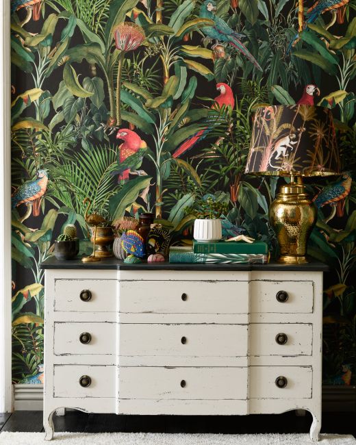 PARROTS OF BRASIL Anthracite Wallpaper
