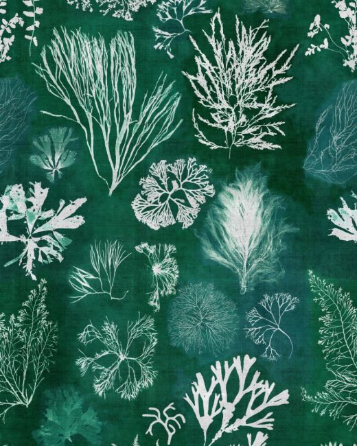 ALGAE Moss Wallpaper