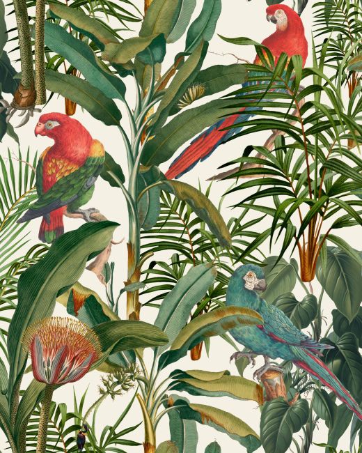 PARROTS OF BRASIL Wallpaper