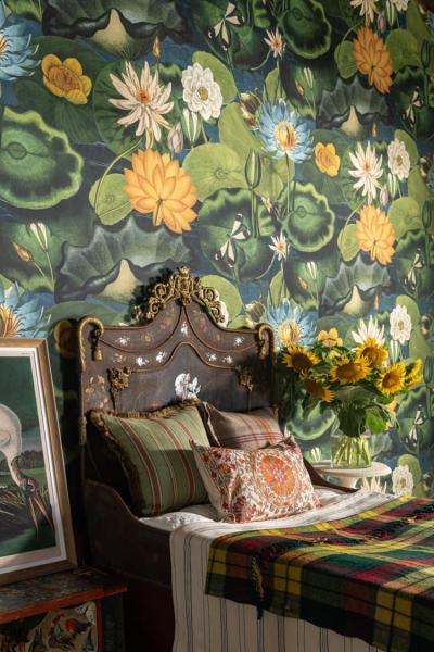 New collection launching - THE WETLANDS